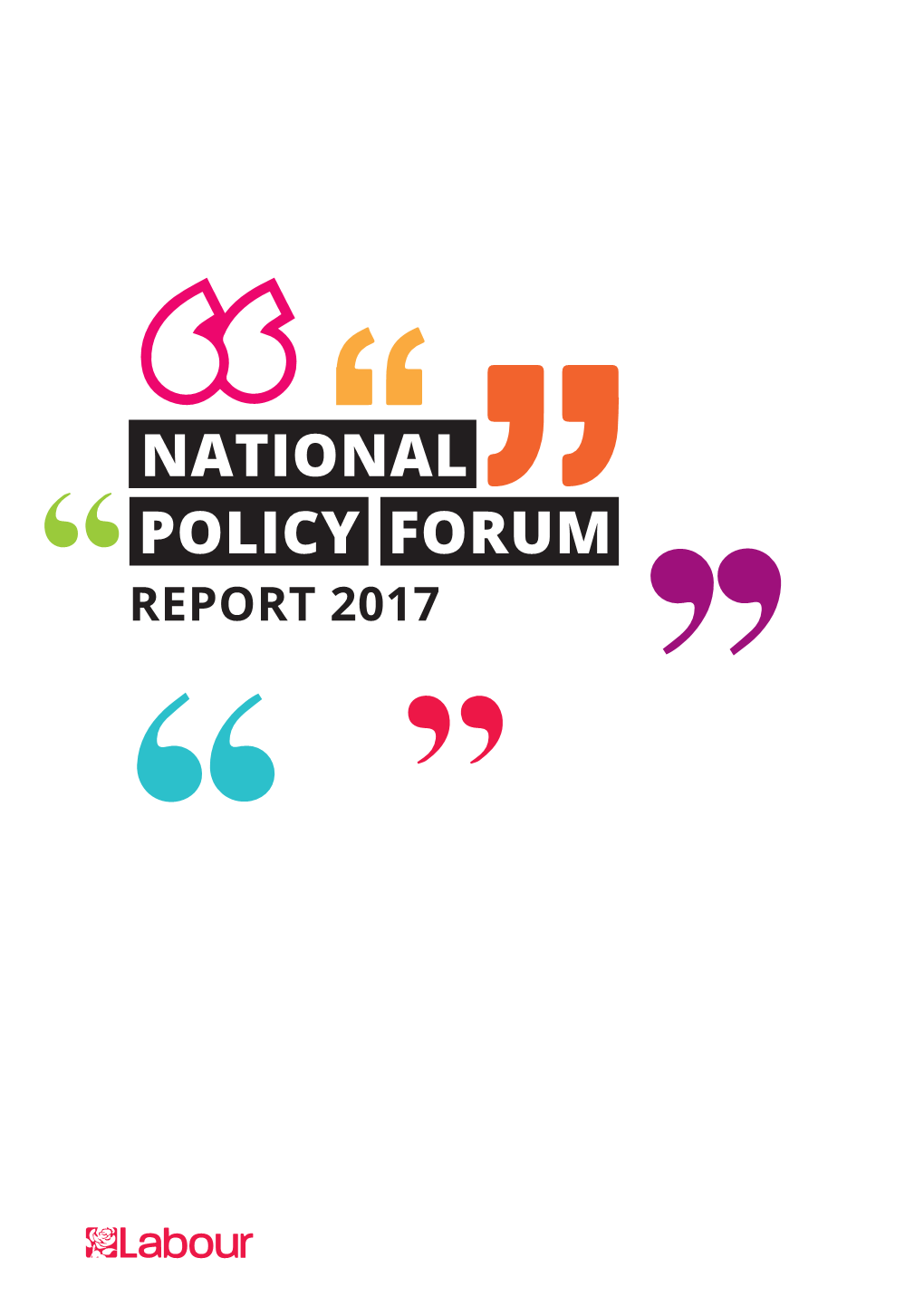 Npf Report 2017