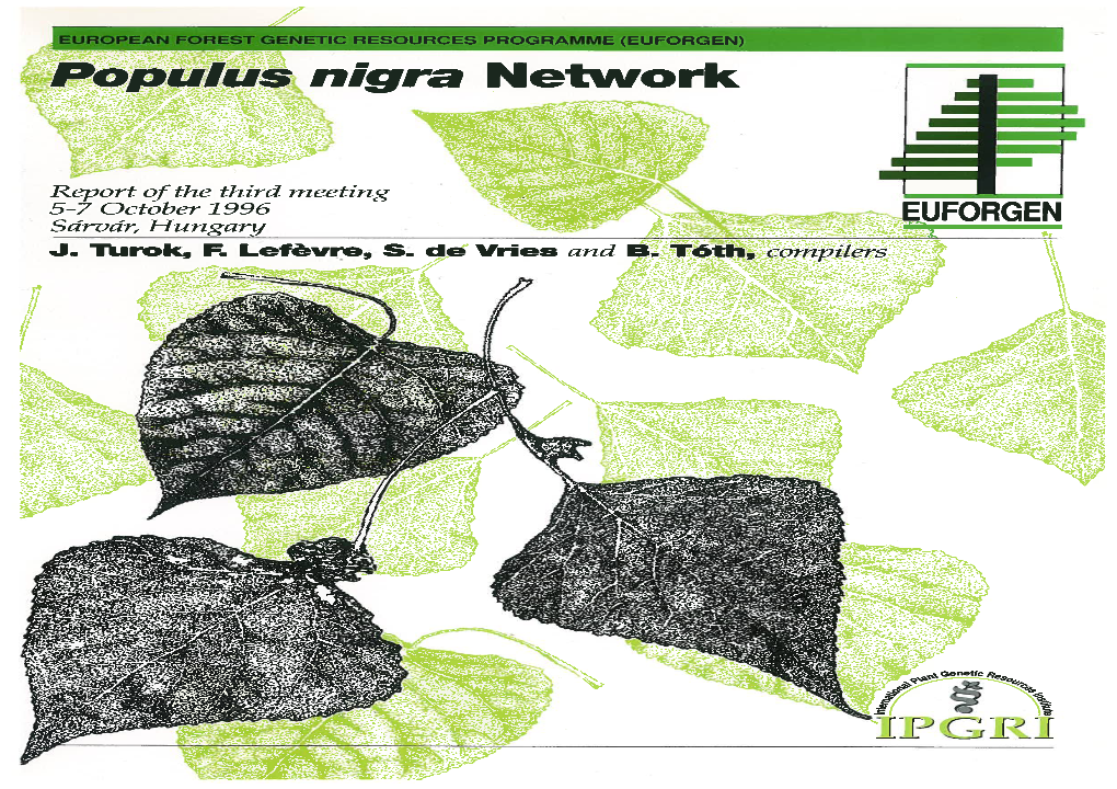 Populus Nigra Network