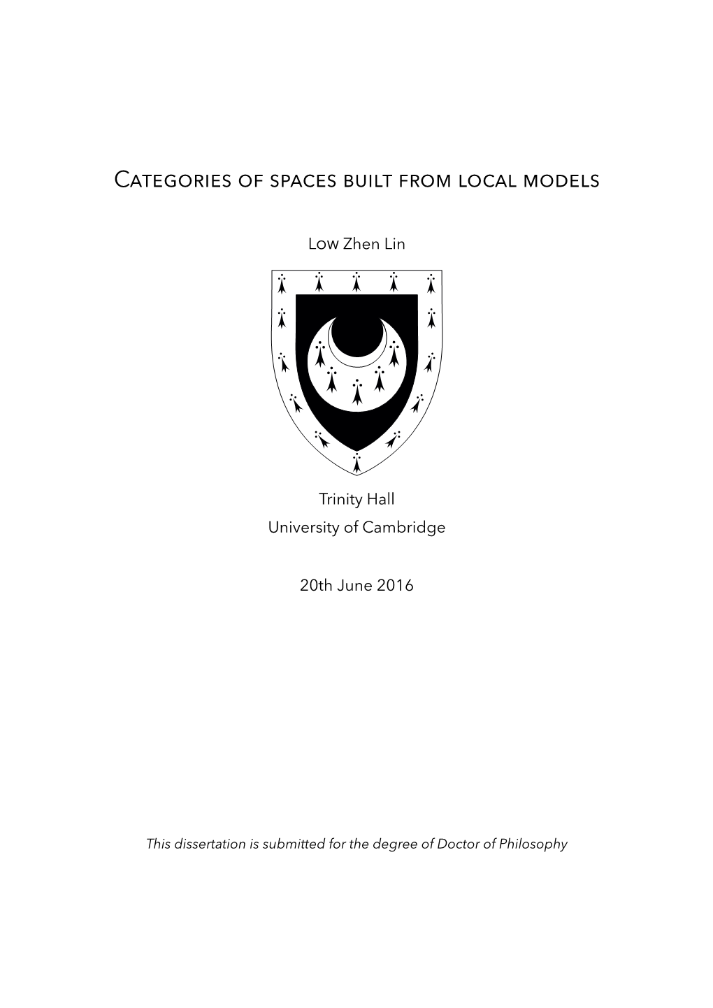 Categories of Spaces Built from Local Models