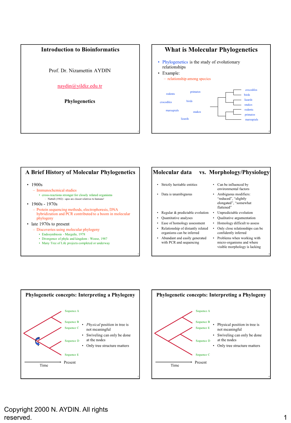 Introduction to Bioinformatics What Is Molecular Phylogenetics