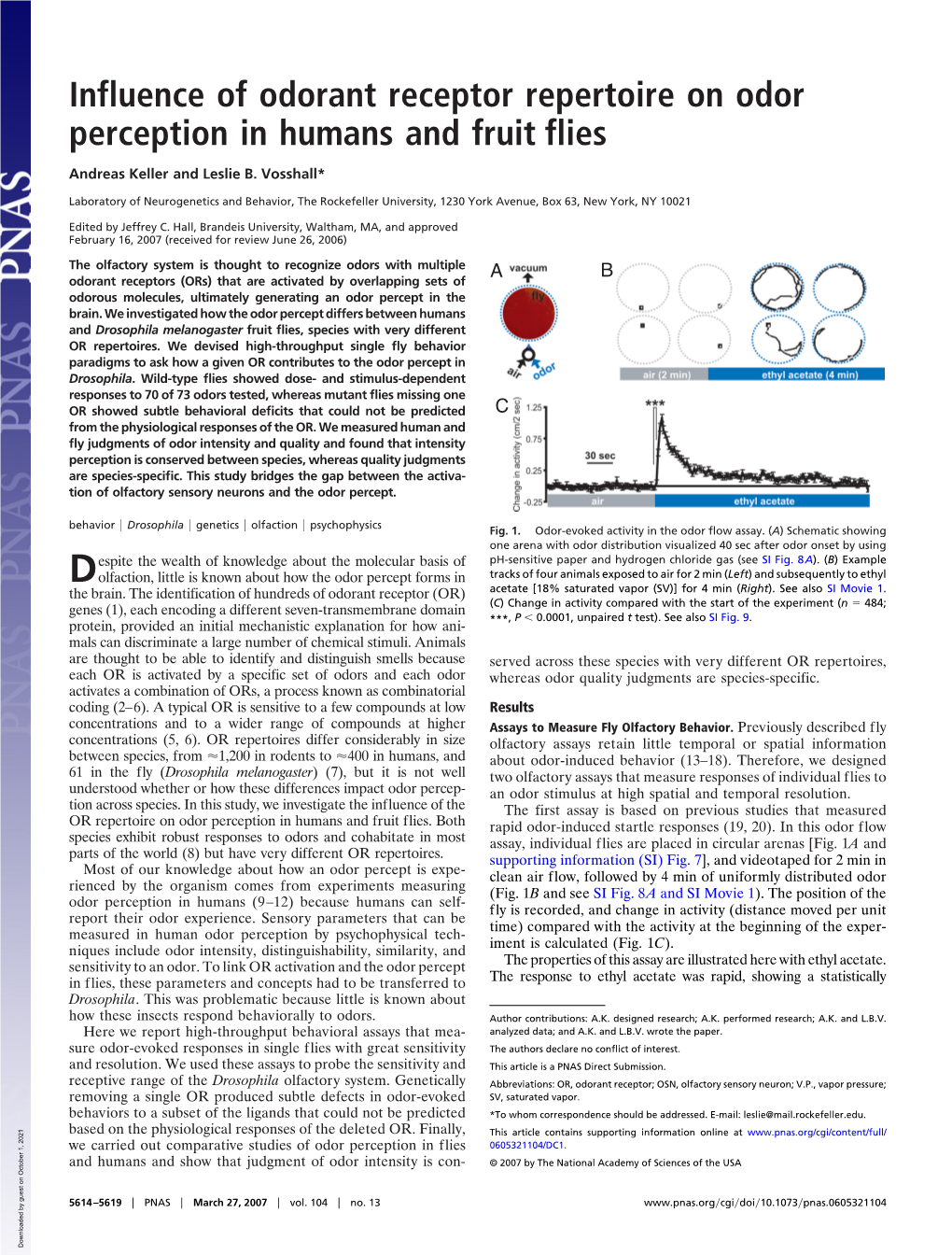 Influence of Odorant Receptor Repertoire on Odor Perception in Humans and Fruit Flies