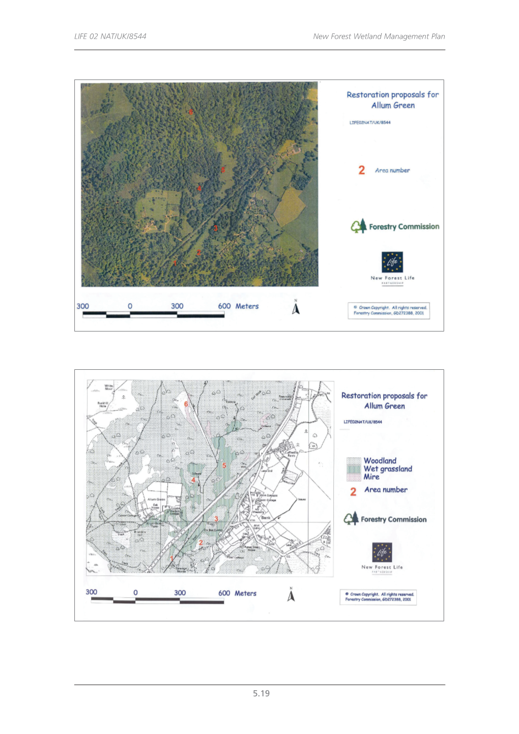 New Forest Wetland Management Plan 2006