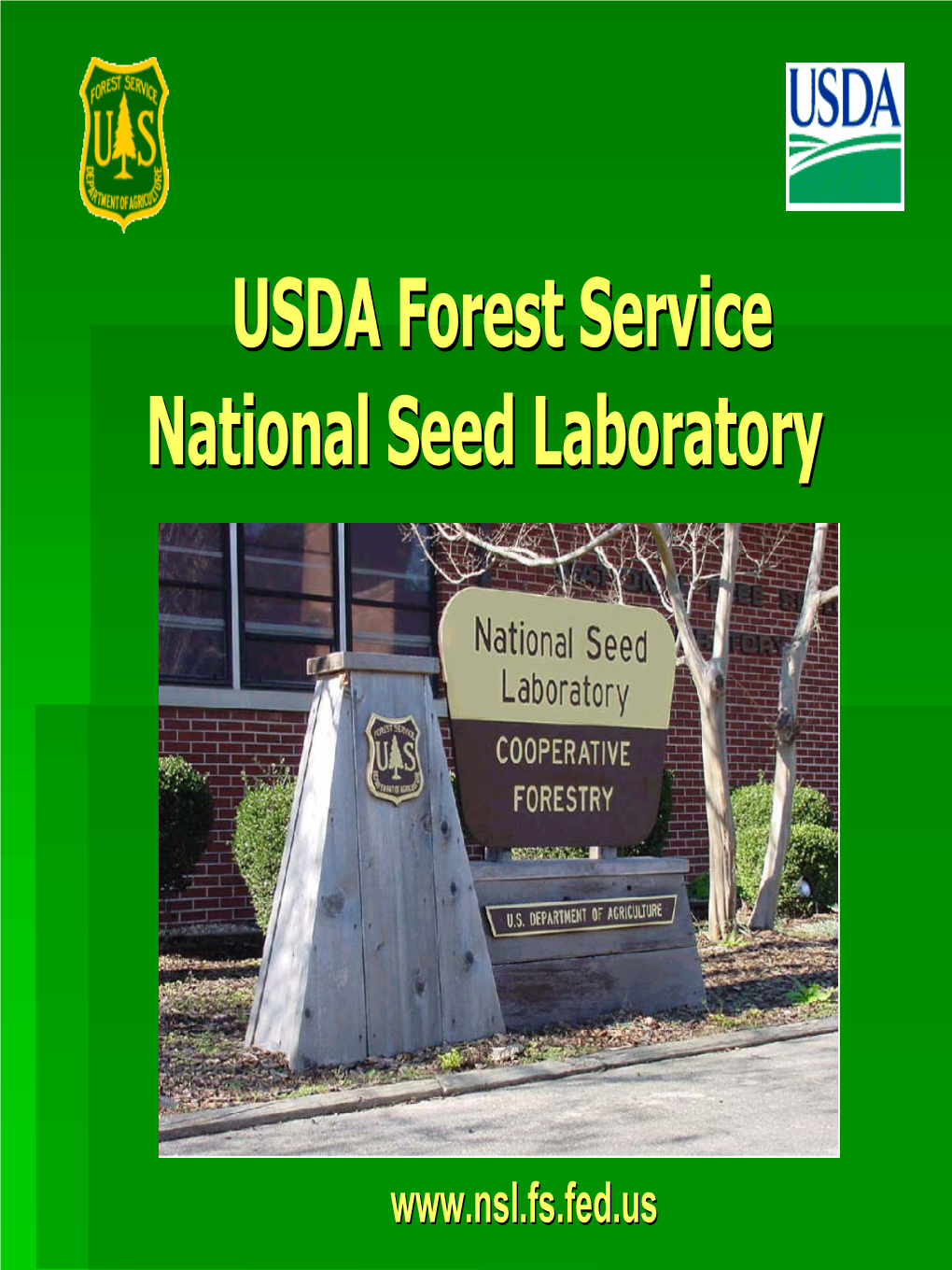 Seed Conditioning of Understory Forbs in The