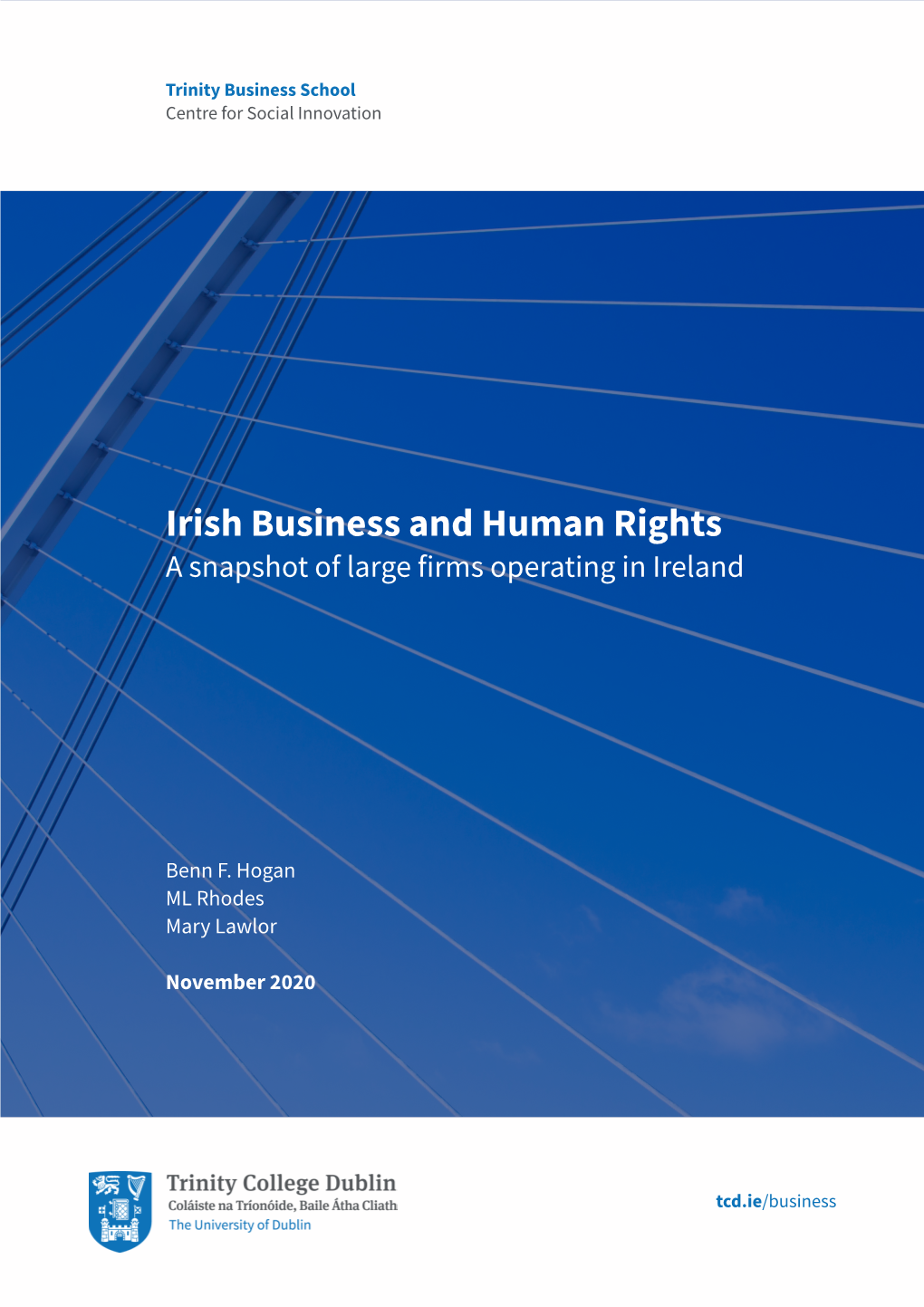 Irish Business and Human Rights a Snapshot of Large Firms Operating in Ireland