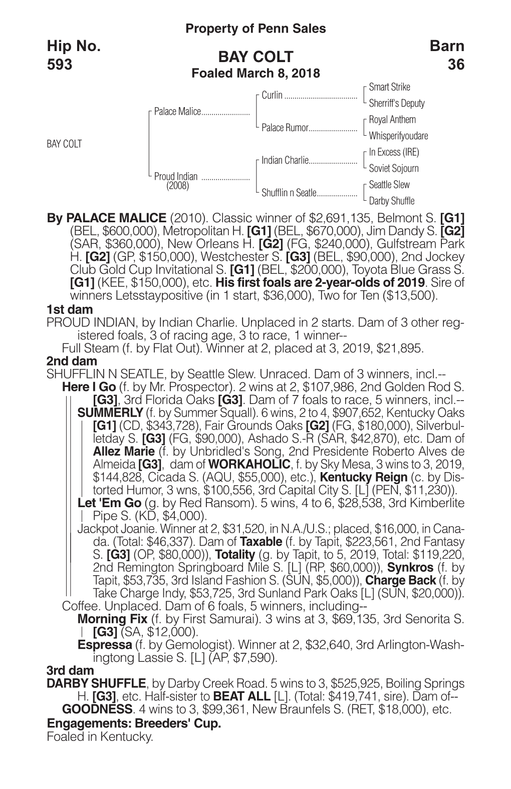 BAY COLT Barn 36 Hip No