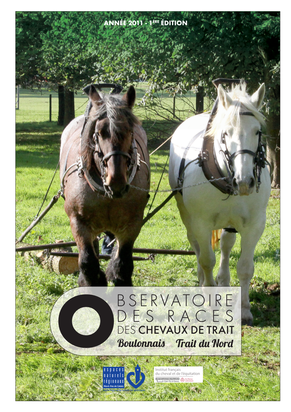 Observatoire Des Races Boulonnais Et Trait Du Nord