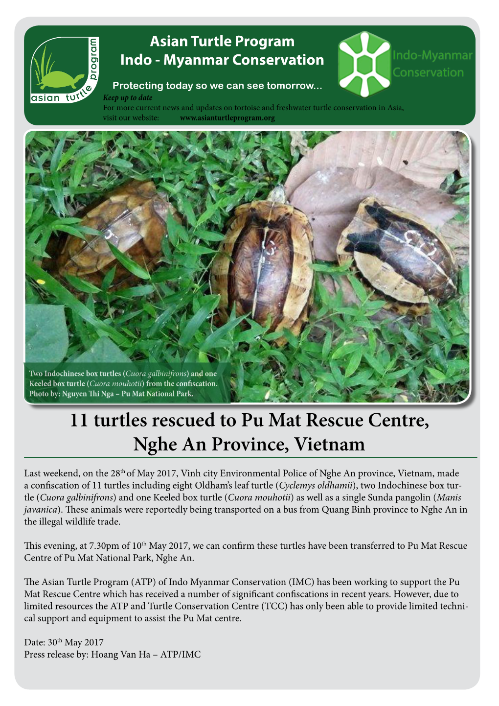 11 Turtles Rescued to Pu Mat Rescue Centre, Nghe an Province, Vietnam