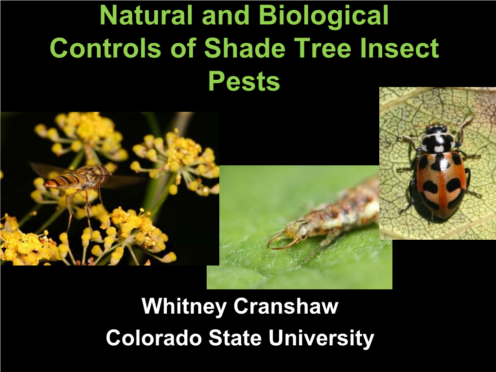 Natural and Biological Controls of Shade Tree Insect Pests