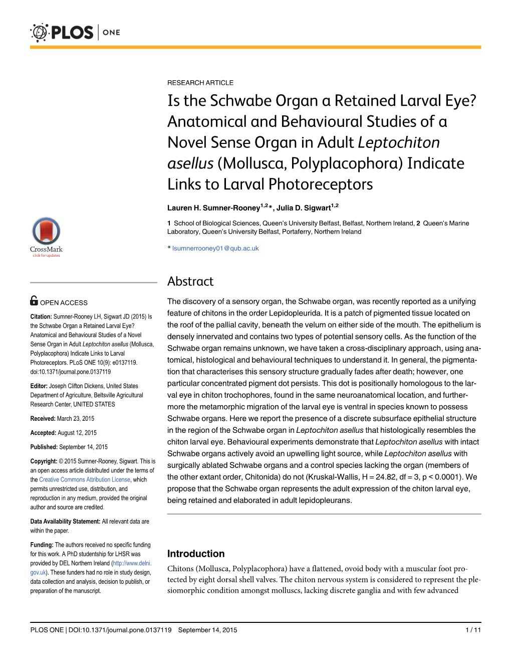 Is the Schwabe Organ a Retained Larval Eye?