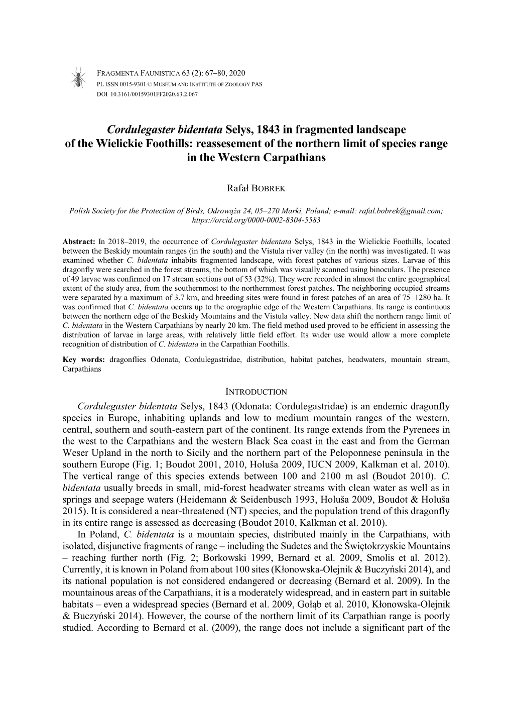 Cordulegaster Bidentata Selys, 1843 in Fragmented Landscape Of