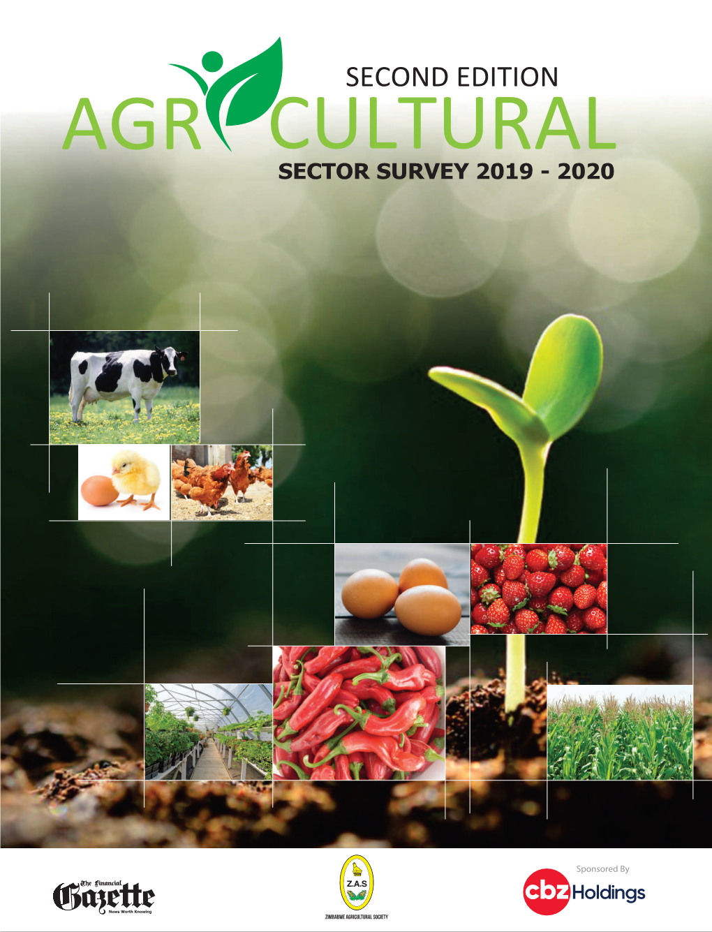 Second-Edition-Agricultural-Sector-Survey-2019-2020.Pdf