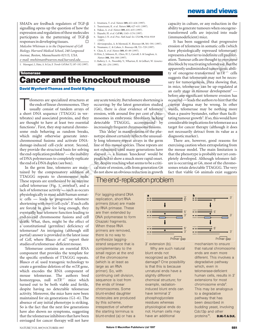 Cancer and the Knockout Mouse Sary for Tumorigenesis