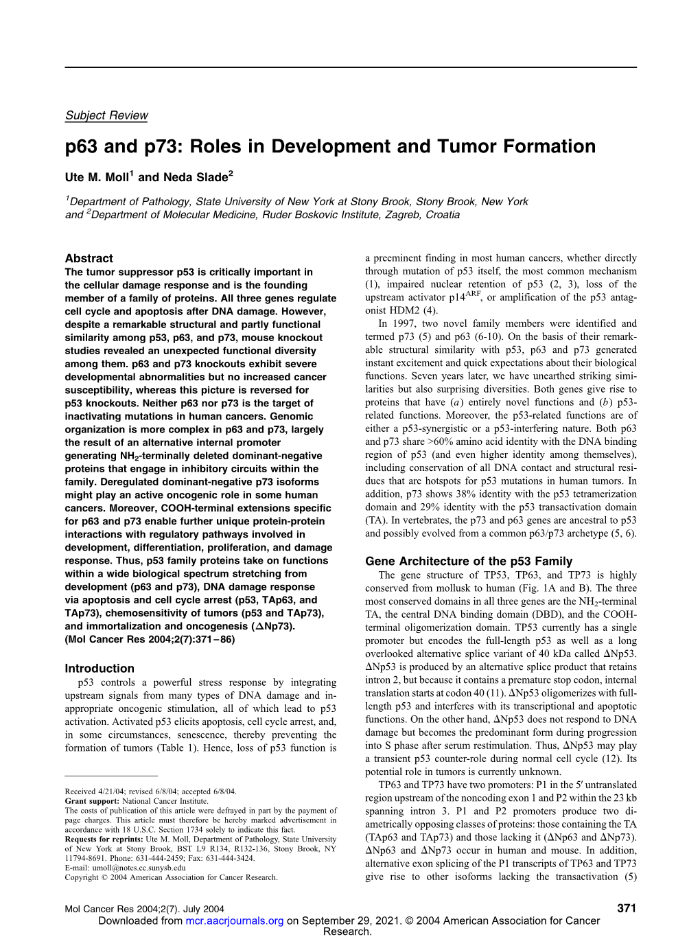 P63 and P73: Roles in Development and Tumor Formation