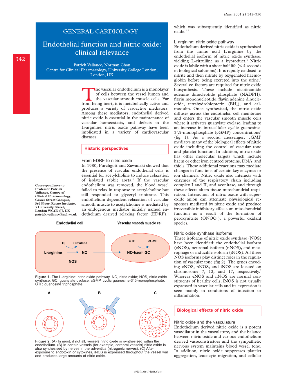 Endothelial Nitric Oxide Synthase