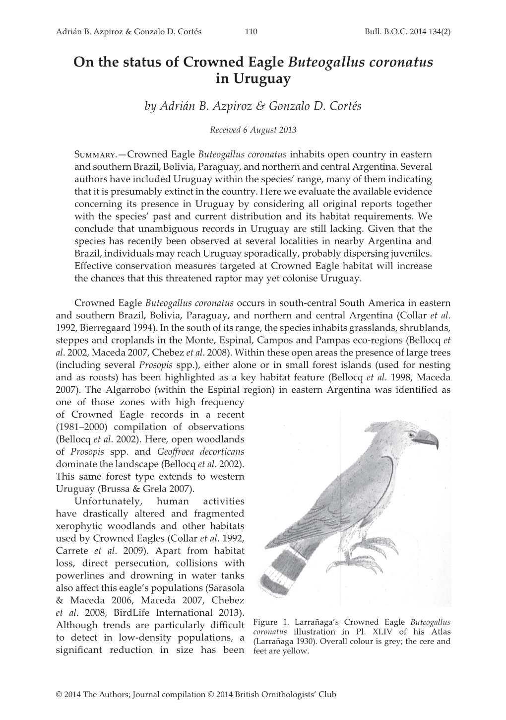 On the Status of Crowned Eagle Buteogallus Coronatus in Uruguay