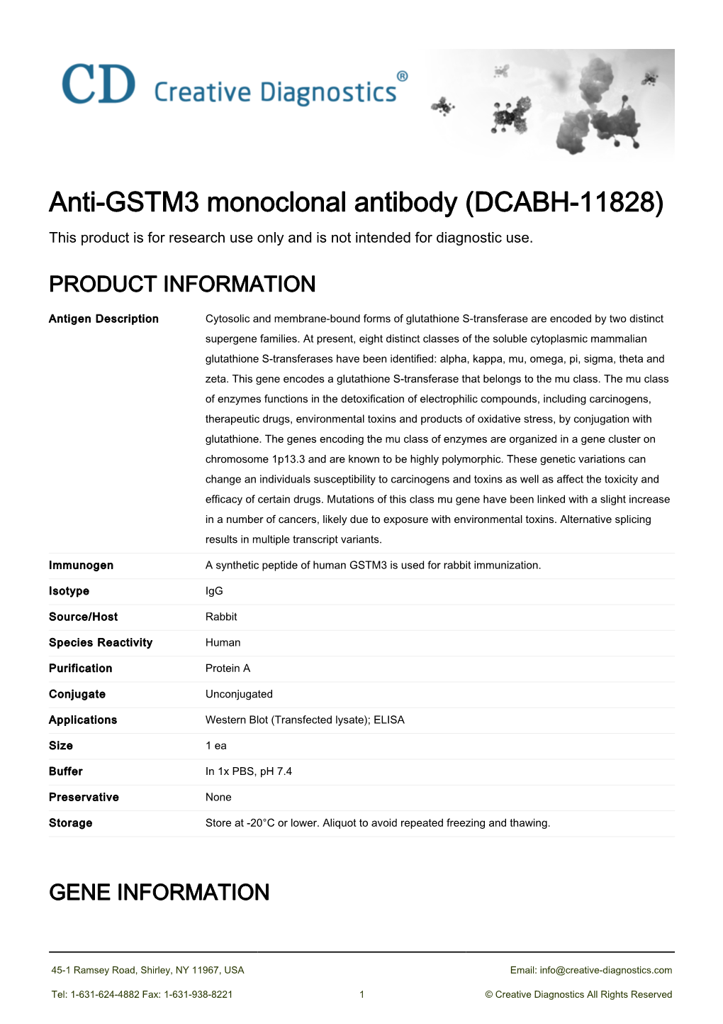 Anti-GSTM3 Monoclonal Antibody (DCABH-11828) This Product Is for Research Use Only and Is Not Intended for Diagnostic Use