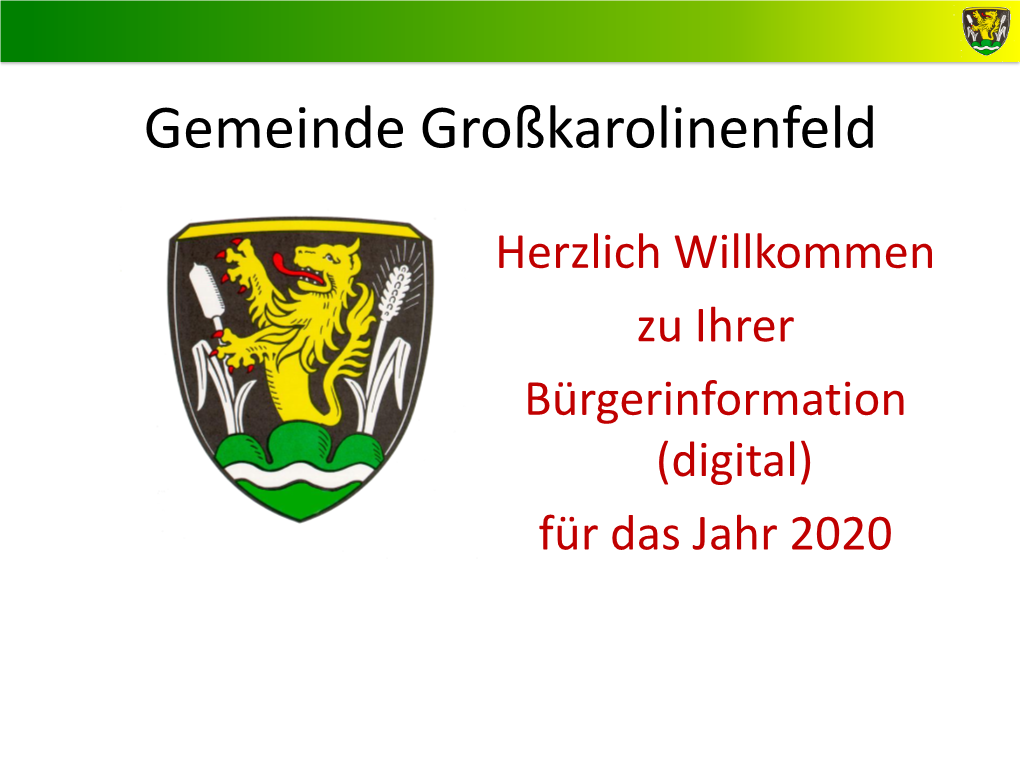 Bürgerinformation 2020