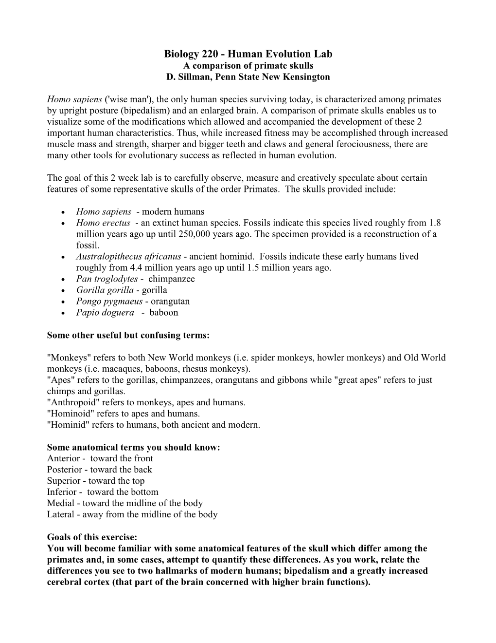 Human Evolution Lab a Comparison of Primate Skulls D