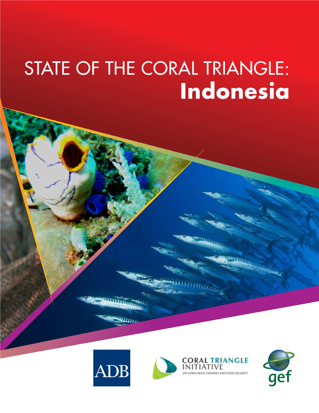 State of the Coral Triangle: Indonesia