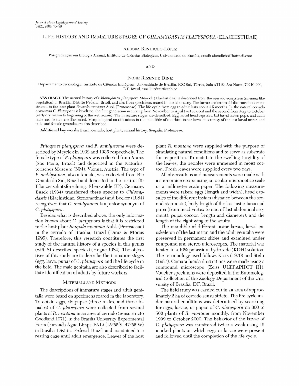 Life History and Immature Stages of Chlamydastis Platyspora (Elachistidae)