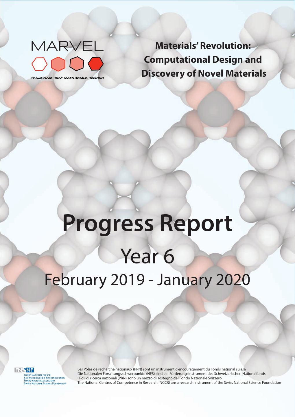Progress Report Year 6 February 2019 - January 2020