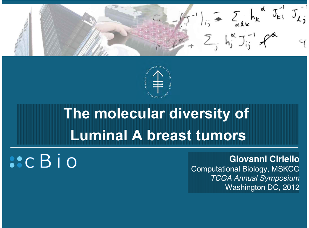 The Molecular Diversity of Luminal a Breast Tumors