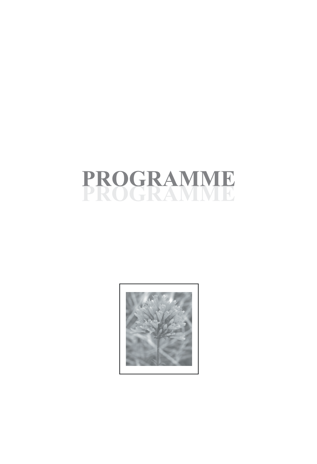 Programme Programme