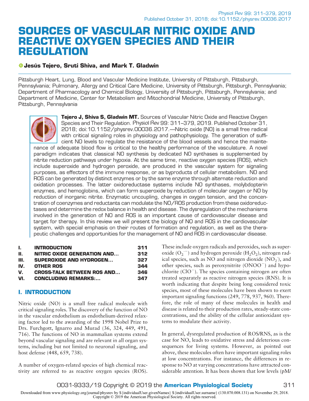 Sources of Vascular Nitric Oxide and Reactive Oxygen Species and Their Regulation