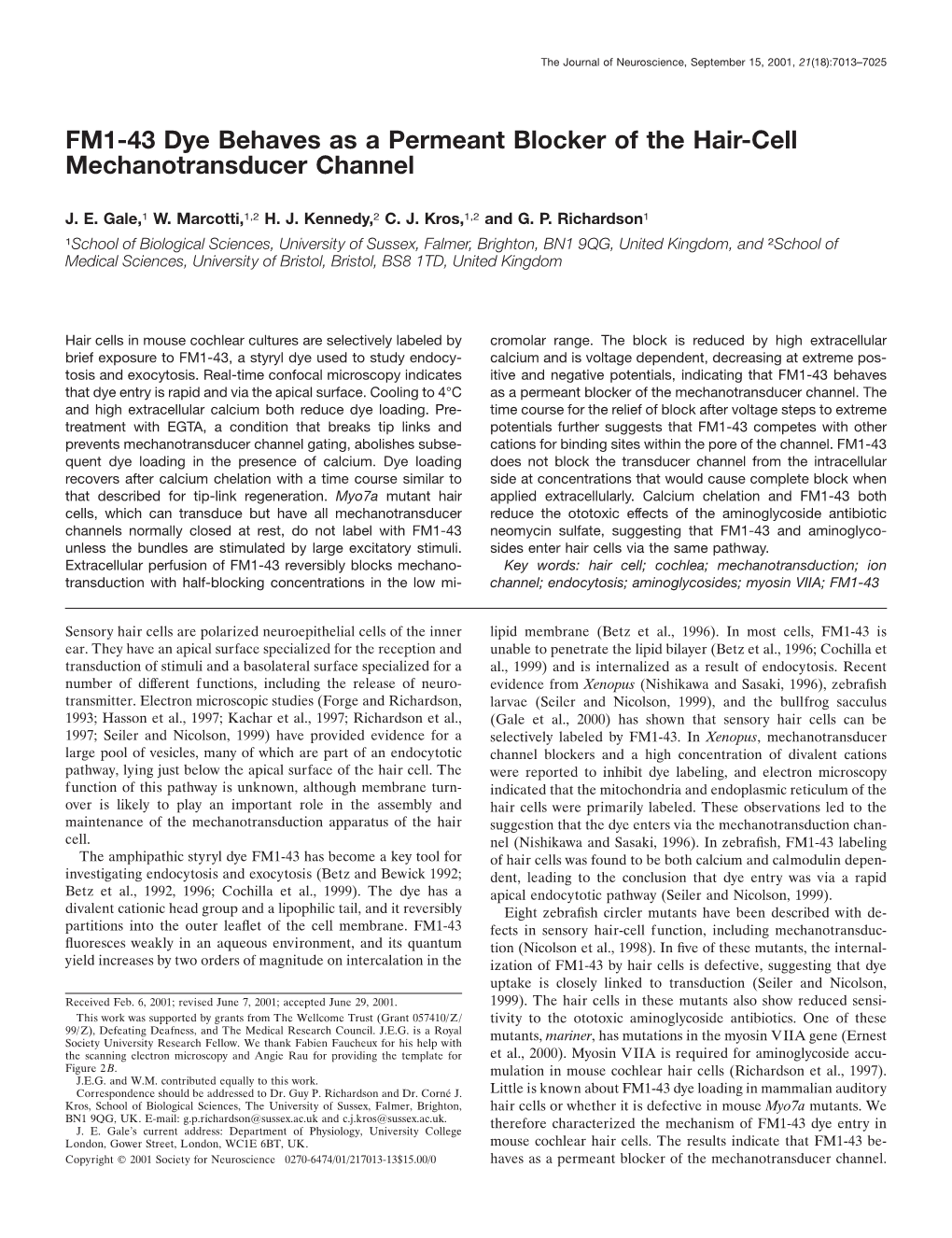 FM1-43 Dye Behaves As a Permeant Blocker of the Hair-Cell Mechanotransducer Channel