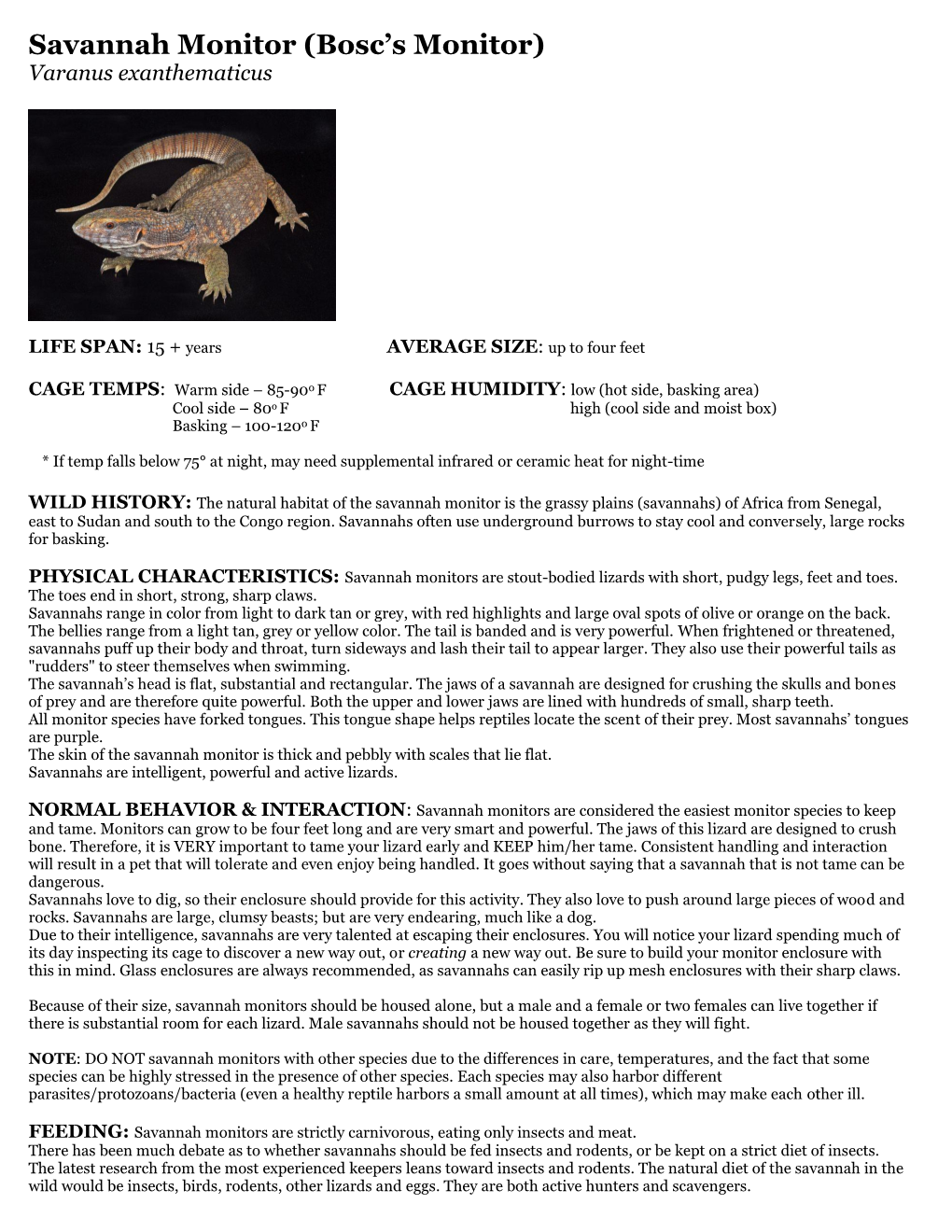 Savannah Monitor (Bosc’S Monitor) Varanus Exanthematicus