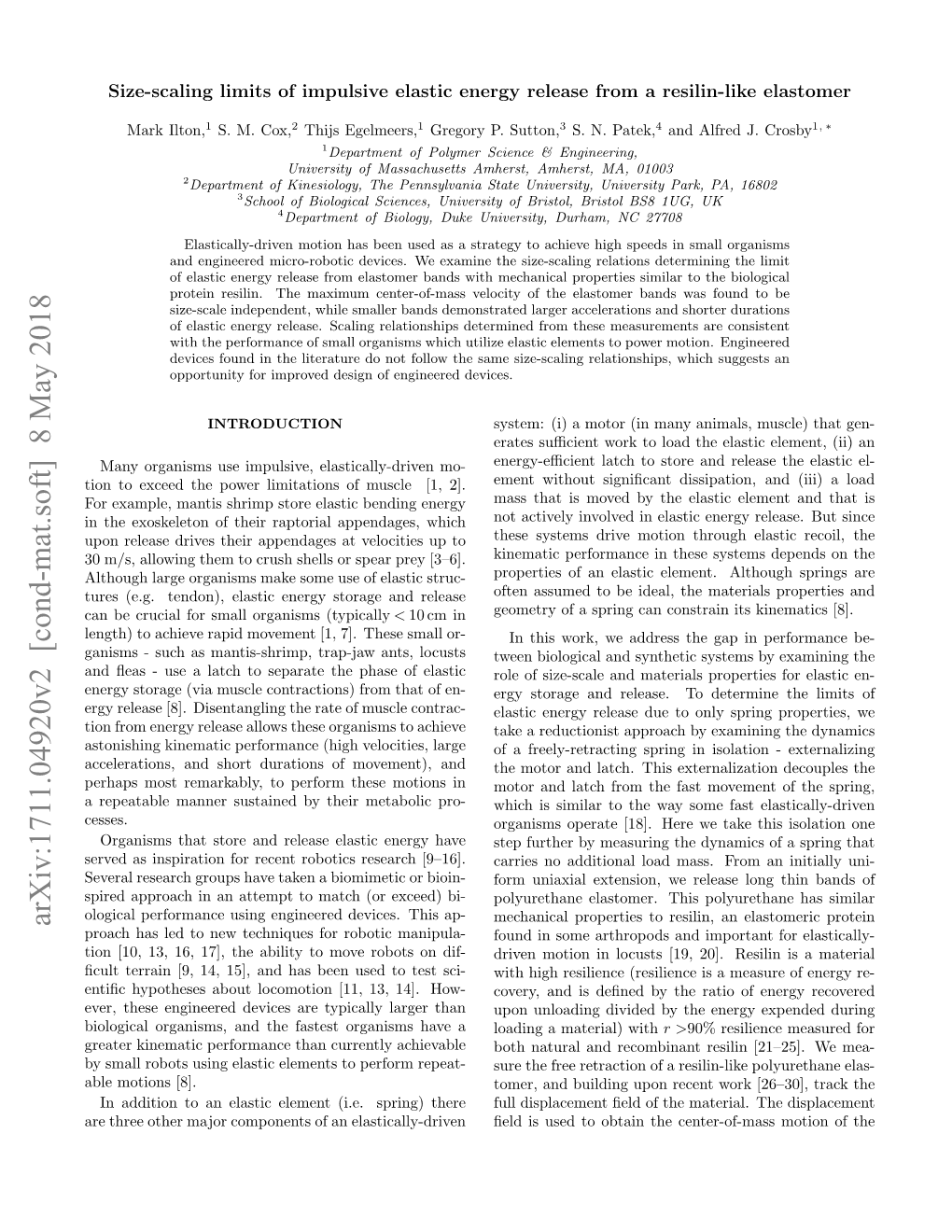 Size-Scaling Limits of Impulsive Elastic Energy Release from a Resilin-Like Elastomer