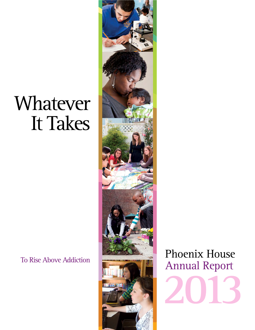 Annual Report 2013