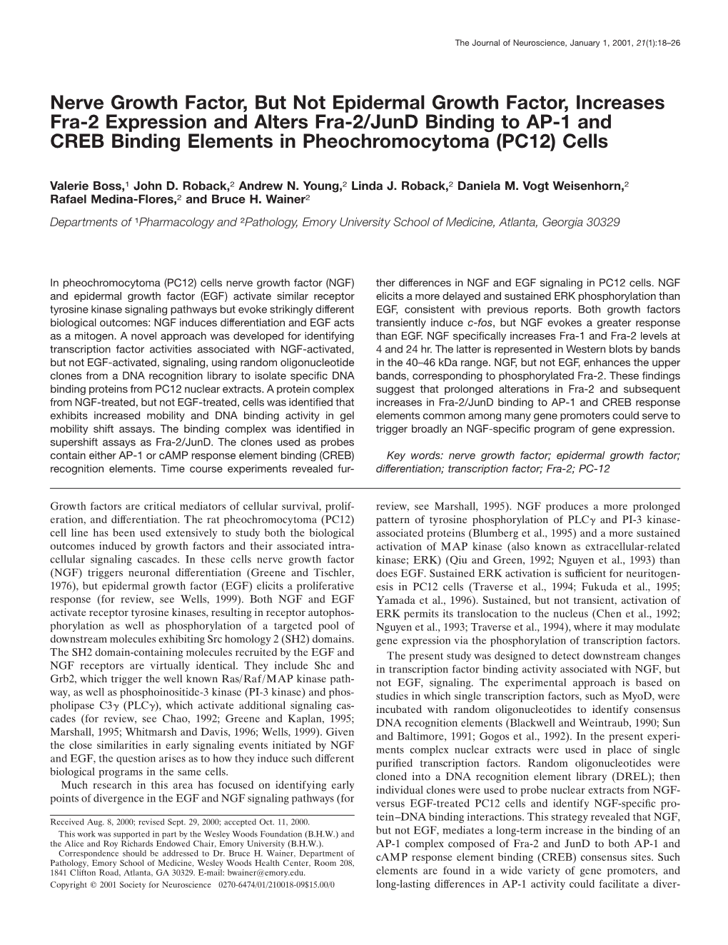 Nerve Growth Factor, but Not Epidermal Growth Factor, Increases