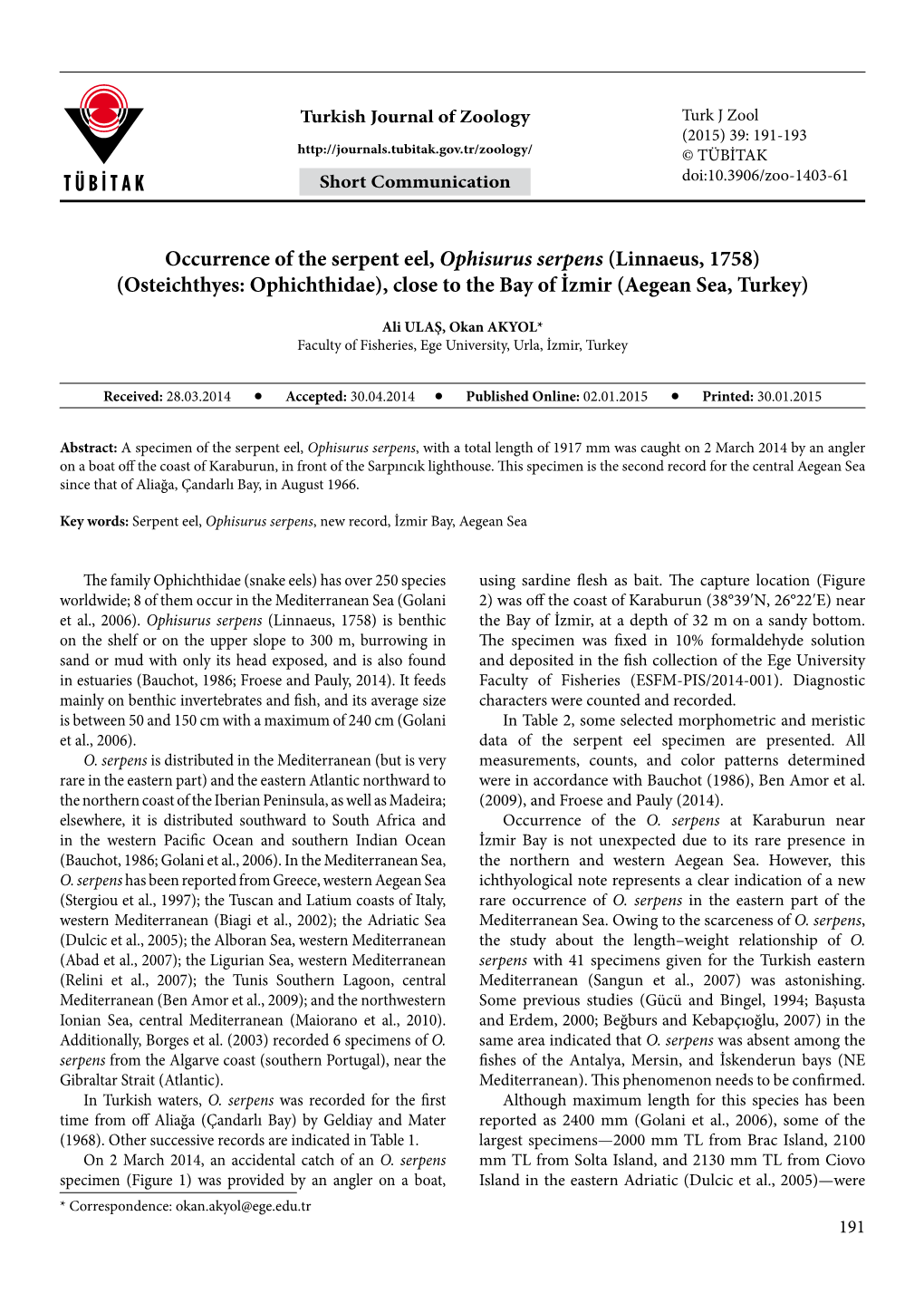 Occurrence of the Serpent Eel, Ophisurus Serpens (Linnaeus, 1758) (Osteichthyes: Ophichthidae), Close to the Bay of İzmir (Aegean Sea, Turkey)