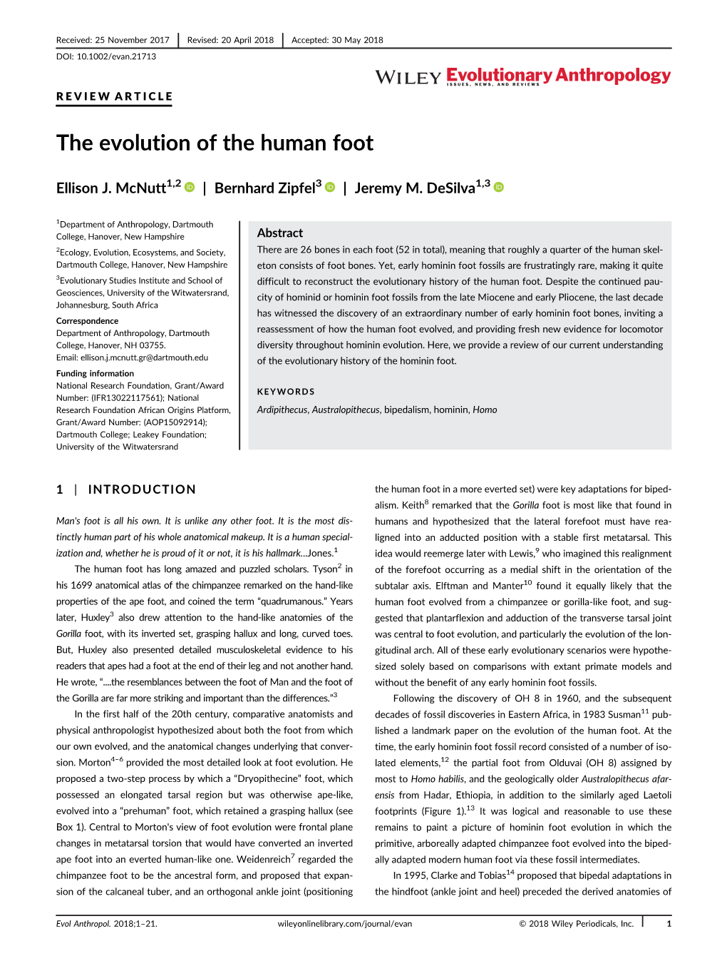 The Evolution of the Human Foot