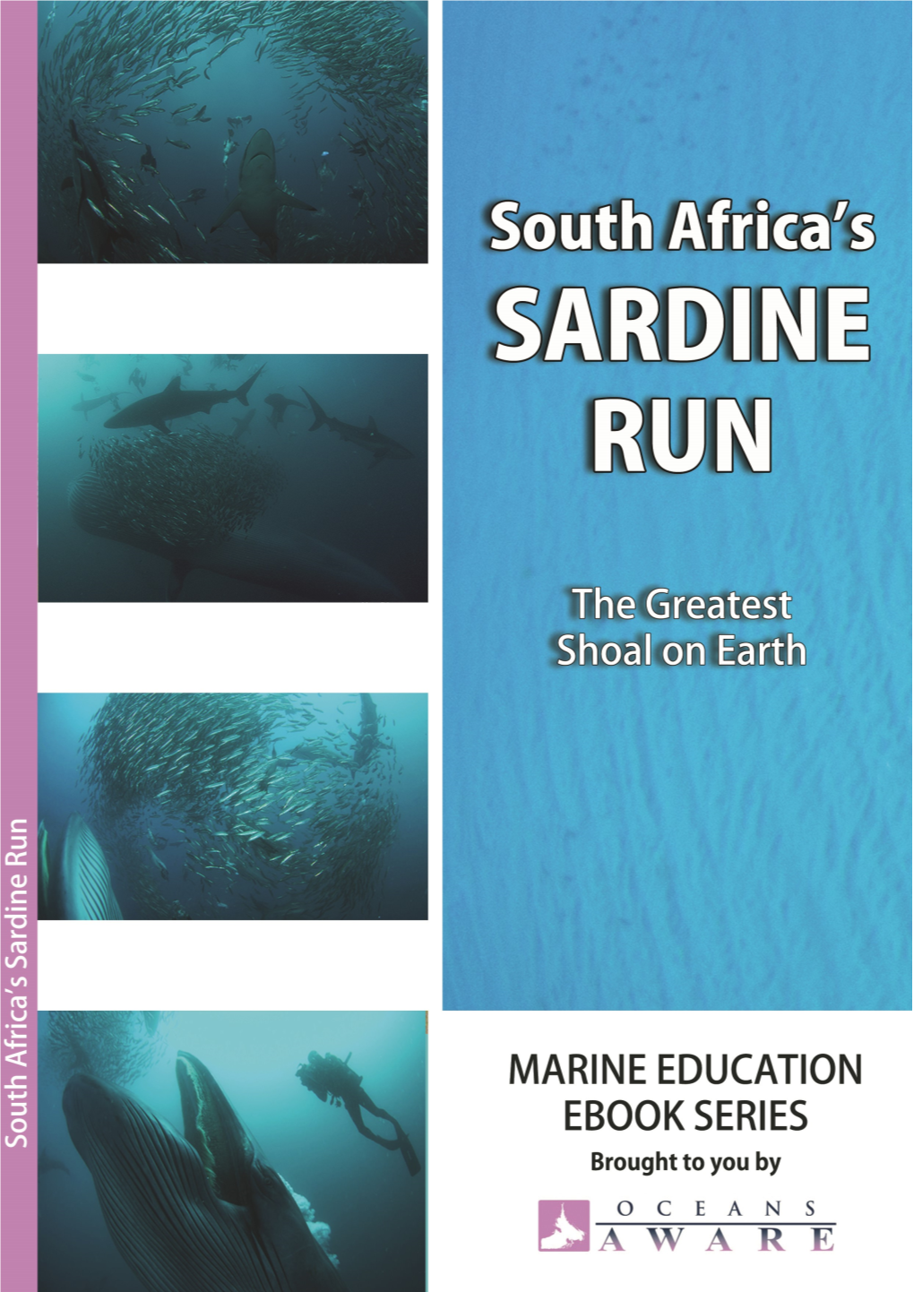 SARDINE RUN.Pdf