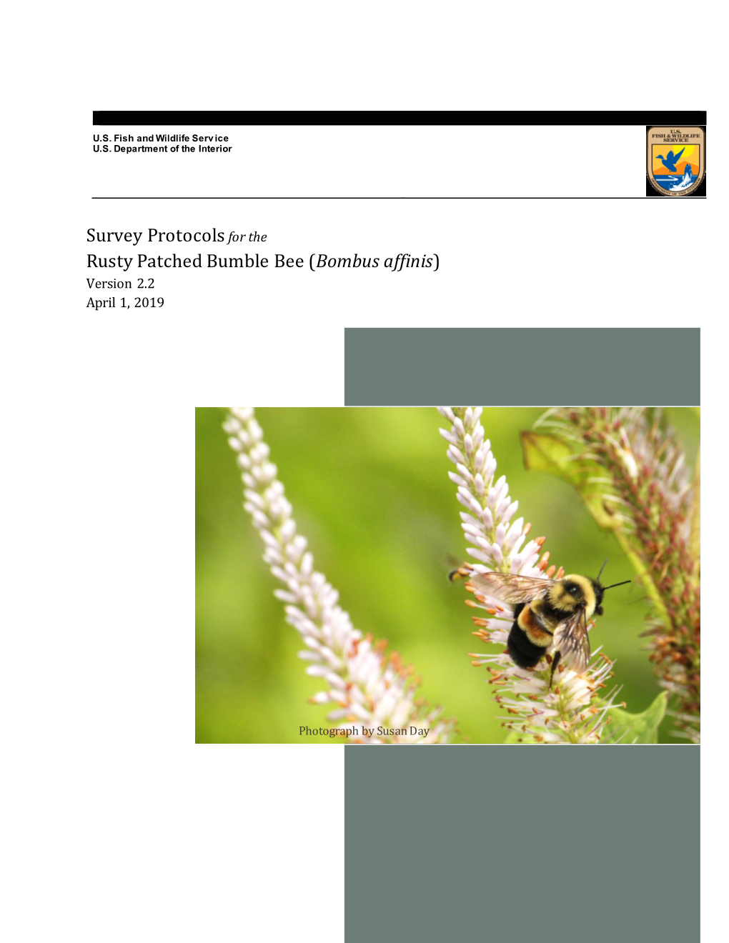 Survey Protocols for the Rusty Patched Bumble Bee (Bombus Affinis) Version 2.2 April 1, 2019