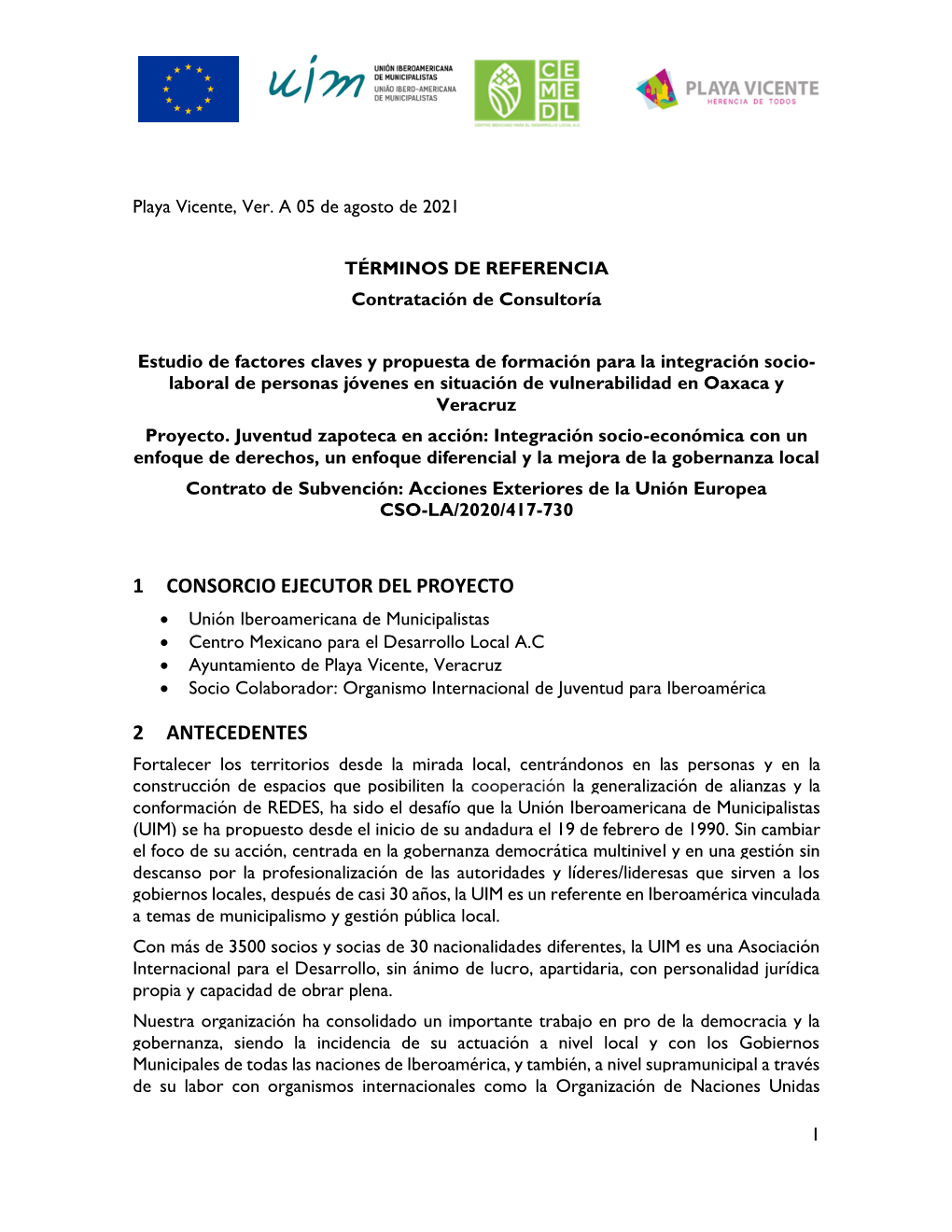 1 Consorcio Ejecutor Del Proyecto 2 Antecedentes