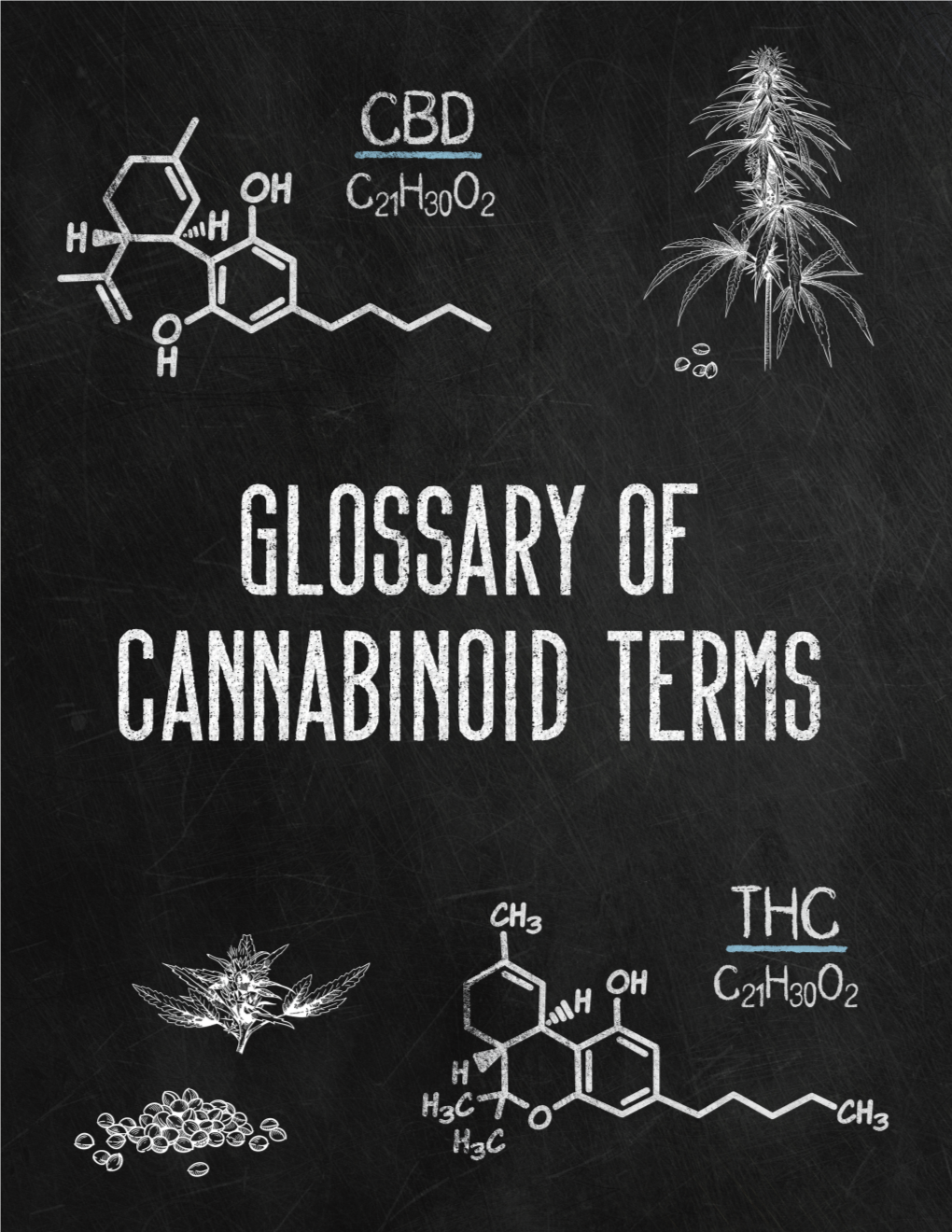 Cannabis Sativa L