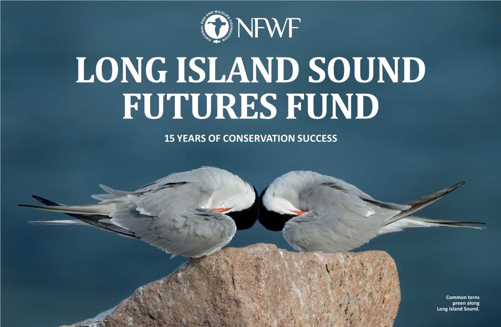 Long Island Sound Futures Fund 15 Years of Conservation Success