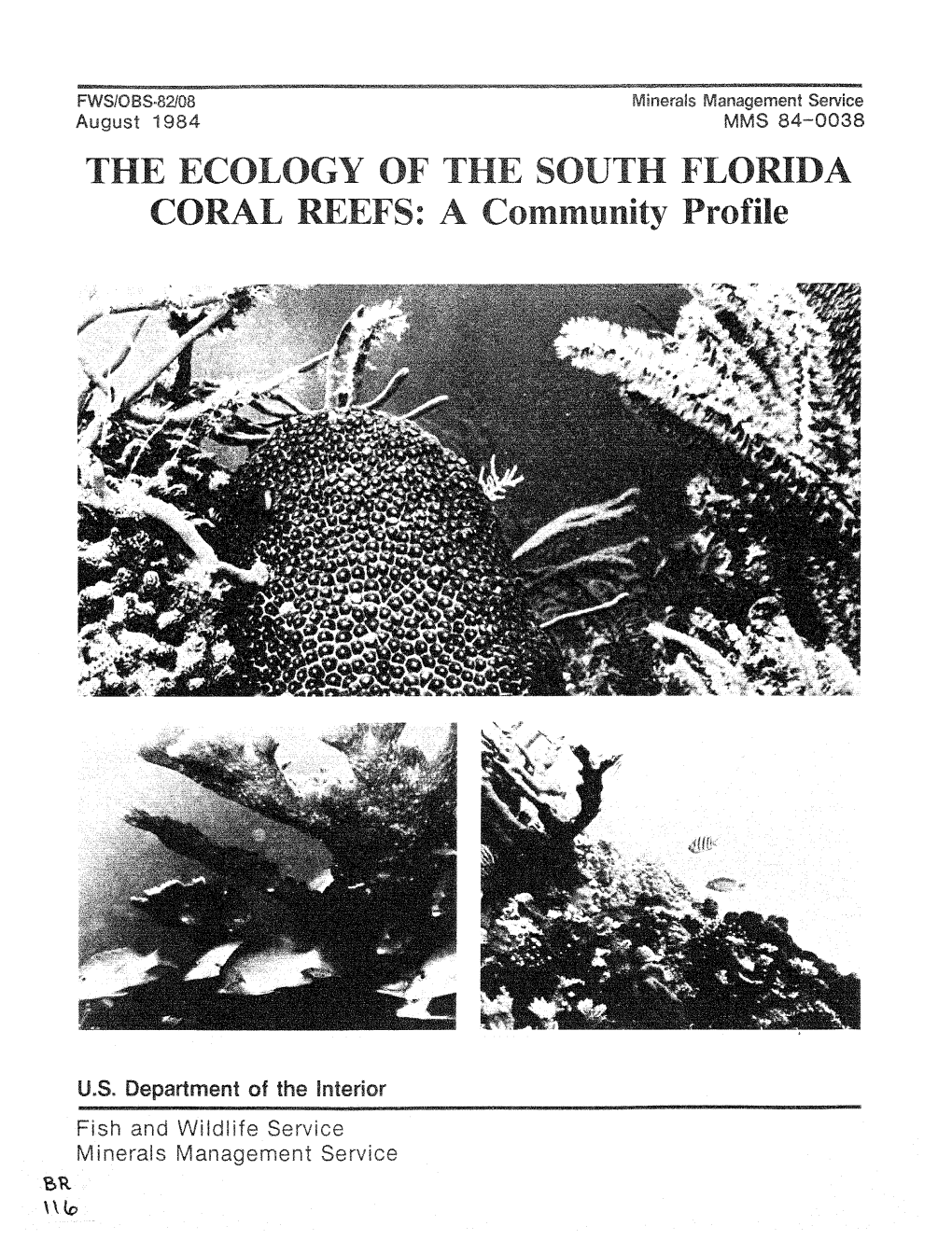 The Ecology of the South Florida Coral Reefs: a Community Profile