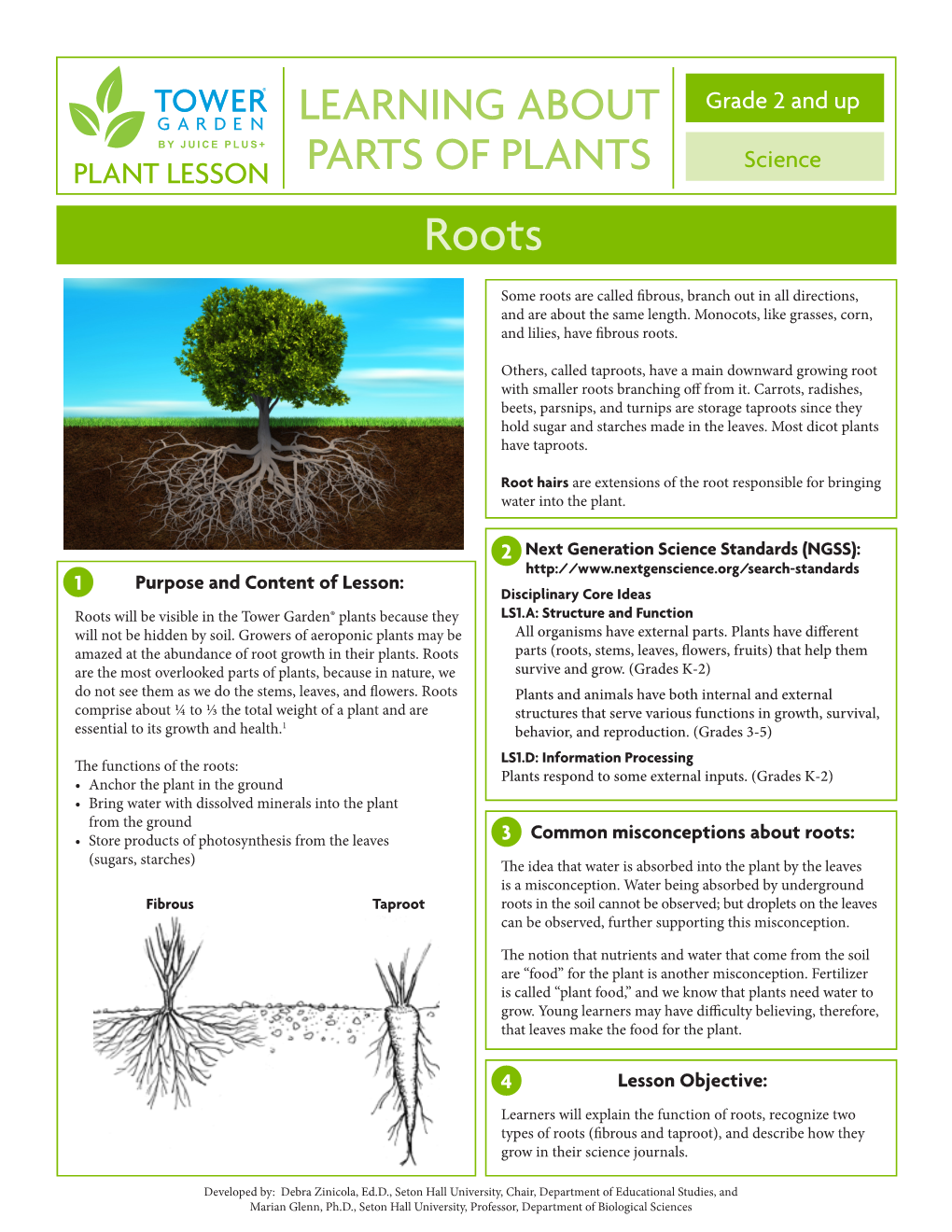 Plant Roots Lesson