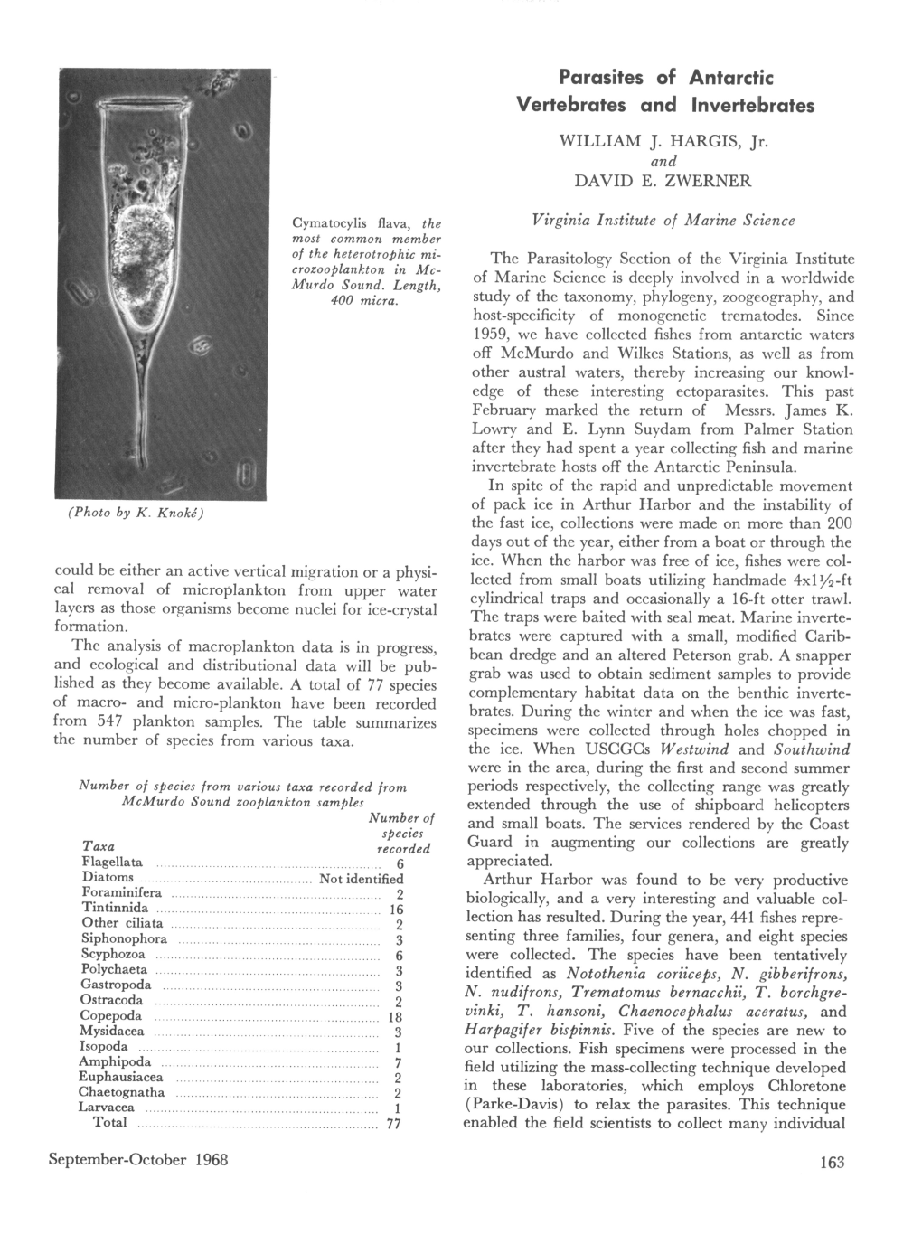 Parasites of Antarctic Vertebrates and Invertebrates