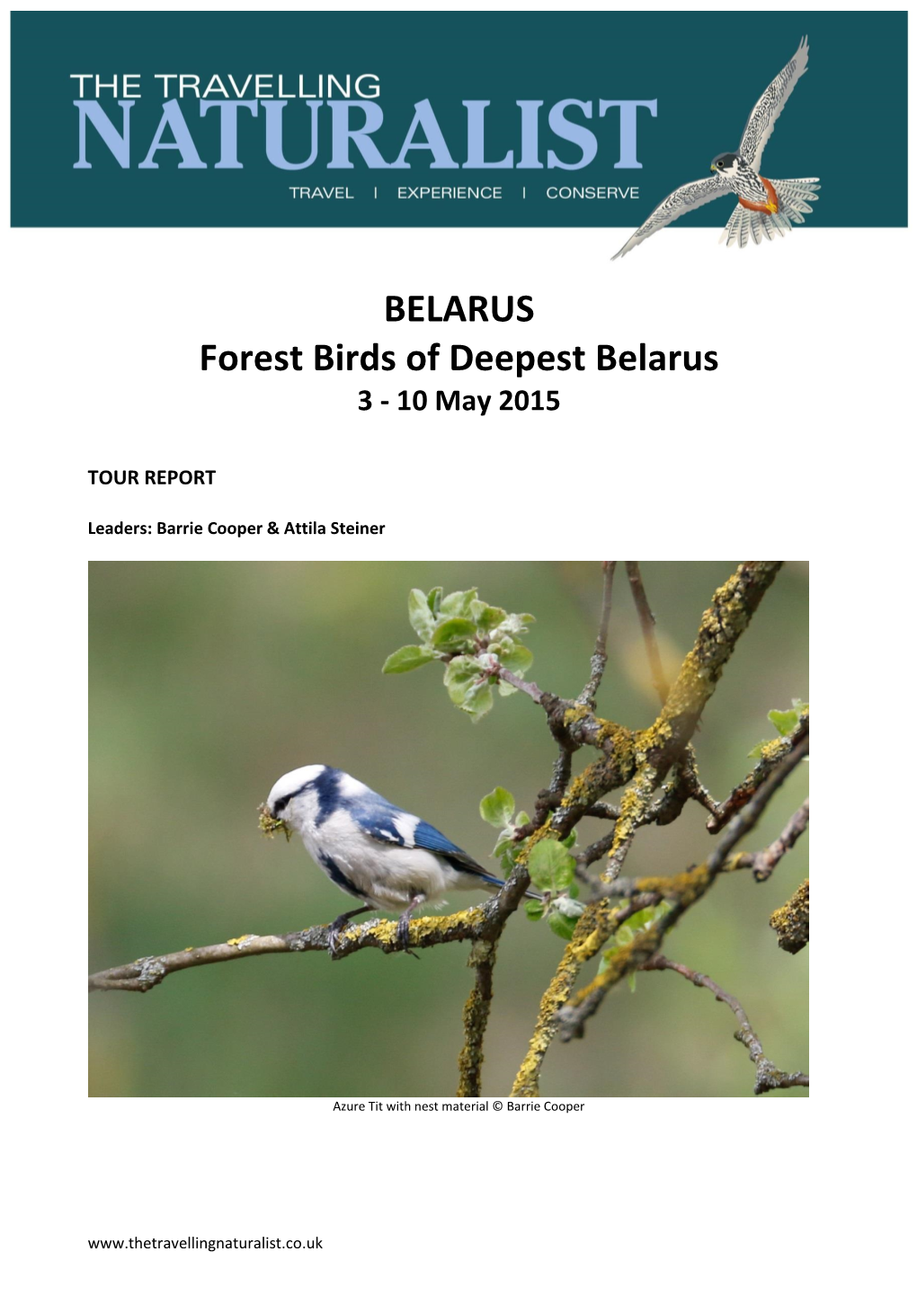 BELARUS Forest Birds of Deepest Belarus 3 - 10 May 2015