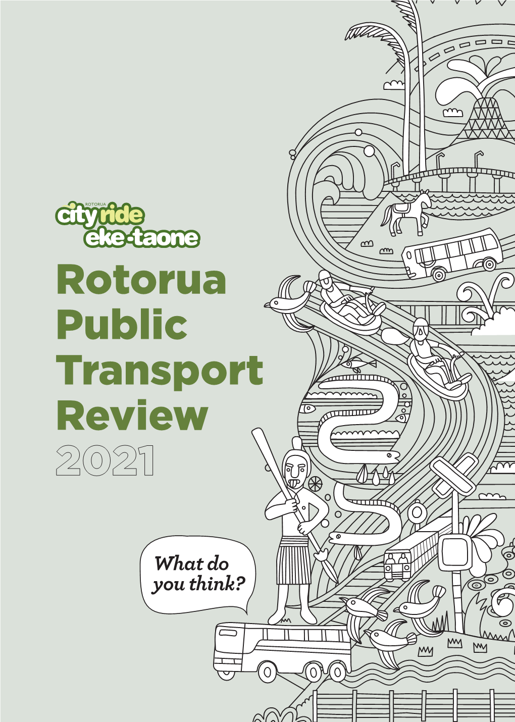 Rotorua Public Transport Review 2021