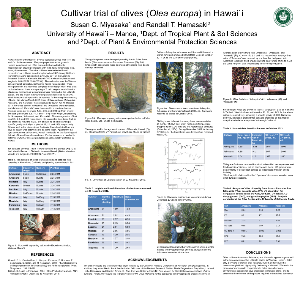 Cultivar Trial of Olives (Olea Europa) in Hawai`I Susan C