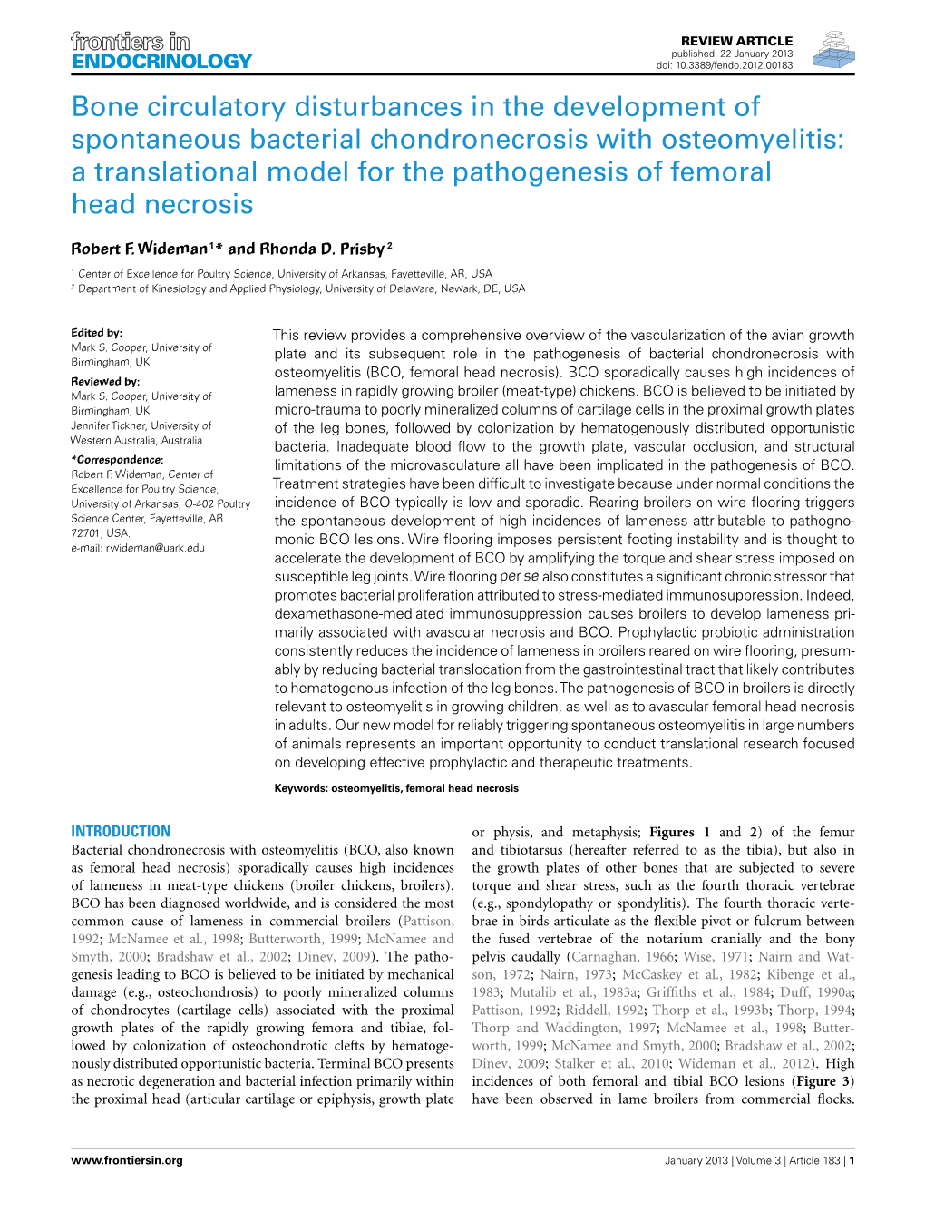 A Translational Model for the Pathogenesis of Femoral Head Necrosis