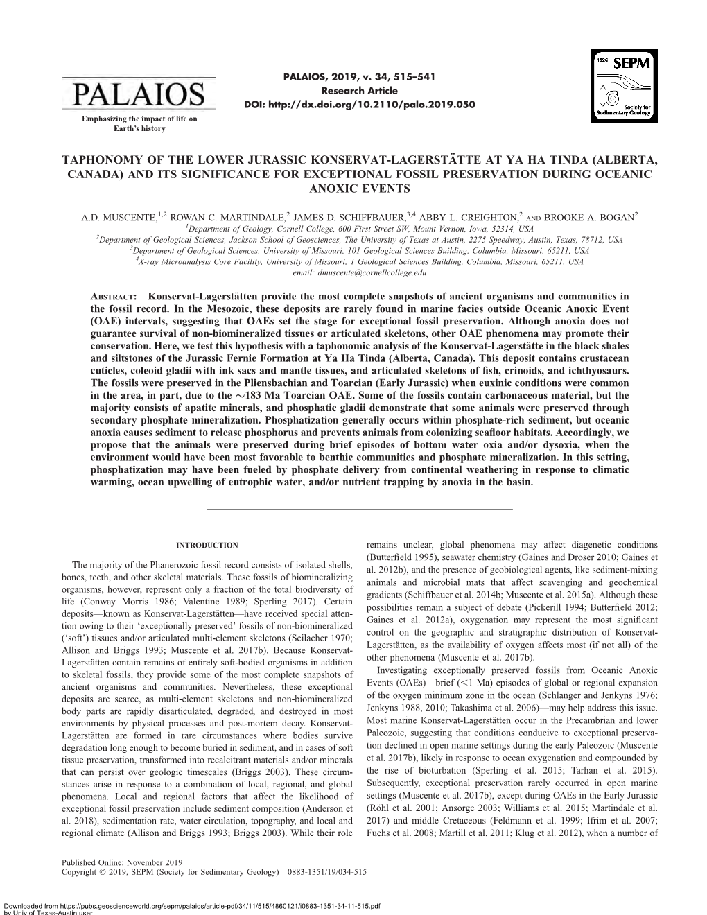 Taphonomy of the Lower Jurassic