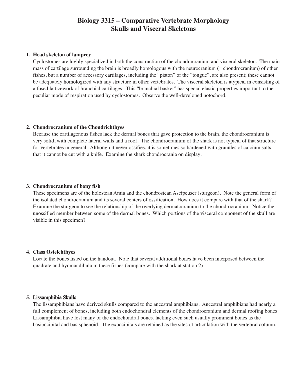 Biology 3315 – Comparative Vertebrate Morphology Skulls and Visceral Skeletons