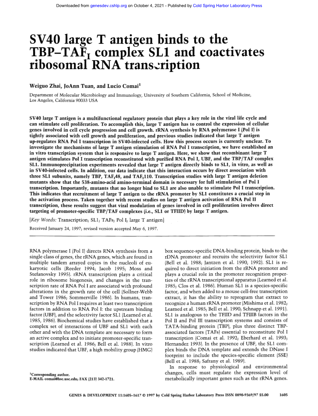 SV40 Large T Antigen Binds to the TBP-TAF I Complex SL1 and Coactivates Ribosomal RNA Transcription